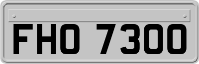 FHO7300