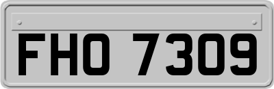 FHO7309