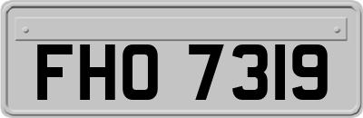FHO7319