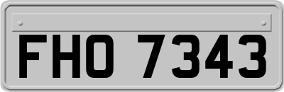 FHO7343