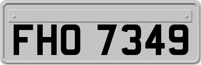 FHO7349