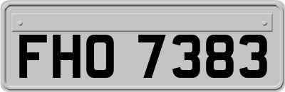 FHO7383