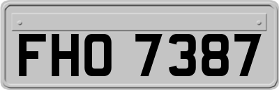 FHO7387
