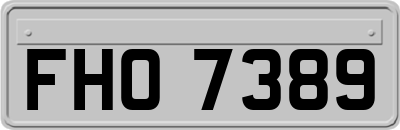 FHO7389