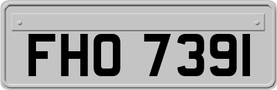 FHO7391