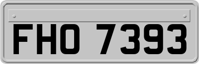 FHO7393