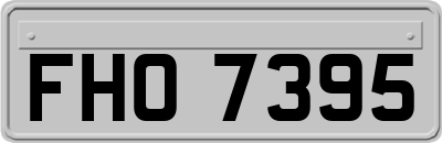 FHO7395
