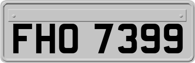 FHO7399