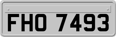 FHO7493
