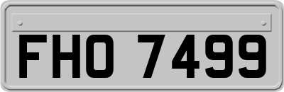 FHO7499