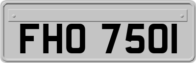 FHO7501