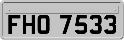 FHO7533