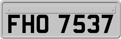 FHO7537