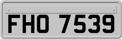 FHO7539