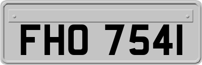FHO7541