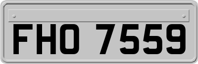 FHO7559