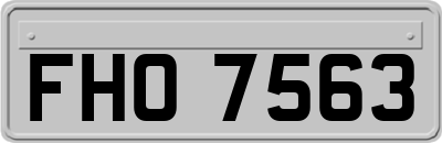 FHO7563