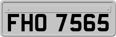 FHO7565