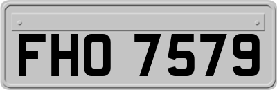 FHO7579