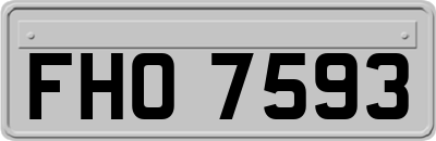 FHO7593