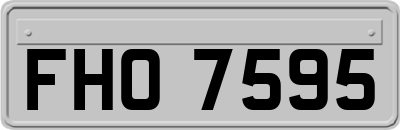 FHO7595