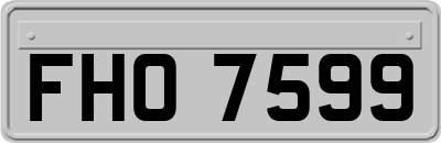 FHO7599