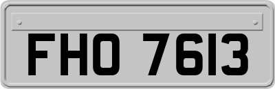 FHO7613