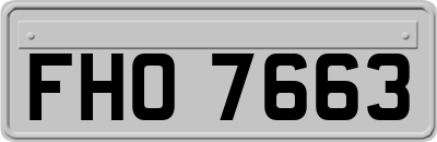 FHO7663