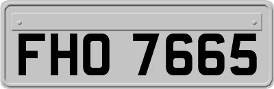 FHO7665