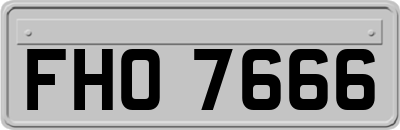FHO7666