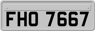 FHO7667