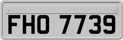 FHO7739