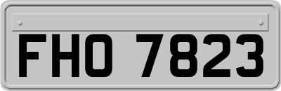 FHO7823