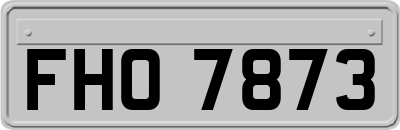 FHO7873