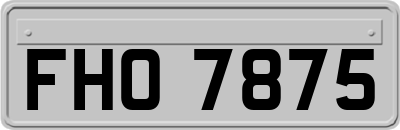 FHO7875