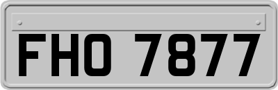 FHO7877