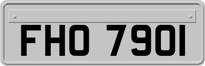 FHO7901