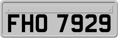 FHO7929
