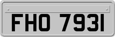 FHO7931