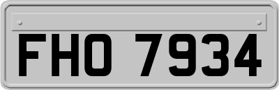 FHO7934