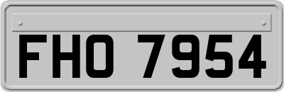 FHO7954