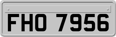 FHO7956