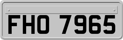 FHO7965