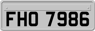 FHO7986