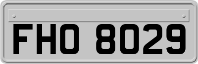 FHO8029