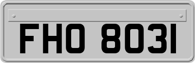 FHO8031