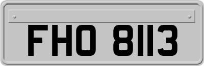 FHO8113