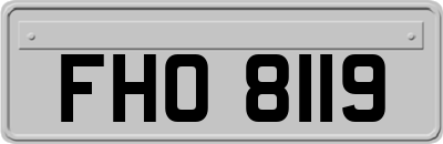 FHO8119