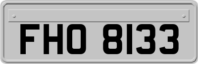 FHO8133