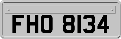 FHO8134